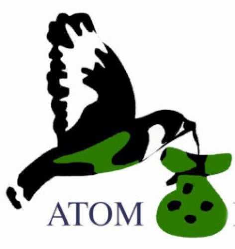 ATOM FINANCE GE