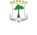 HOLDING GUINEA 2020