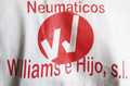 NEUMATICOS WILLIAMS