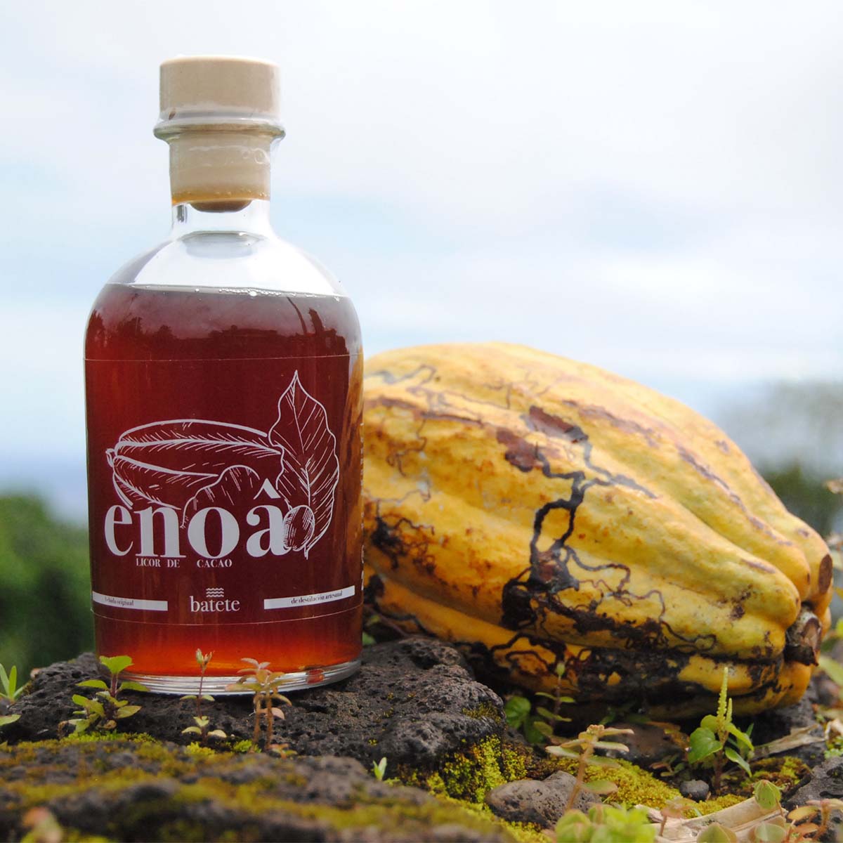 Licor de cacao